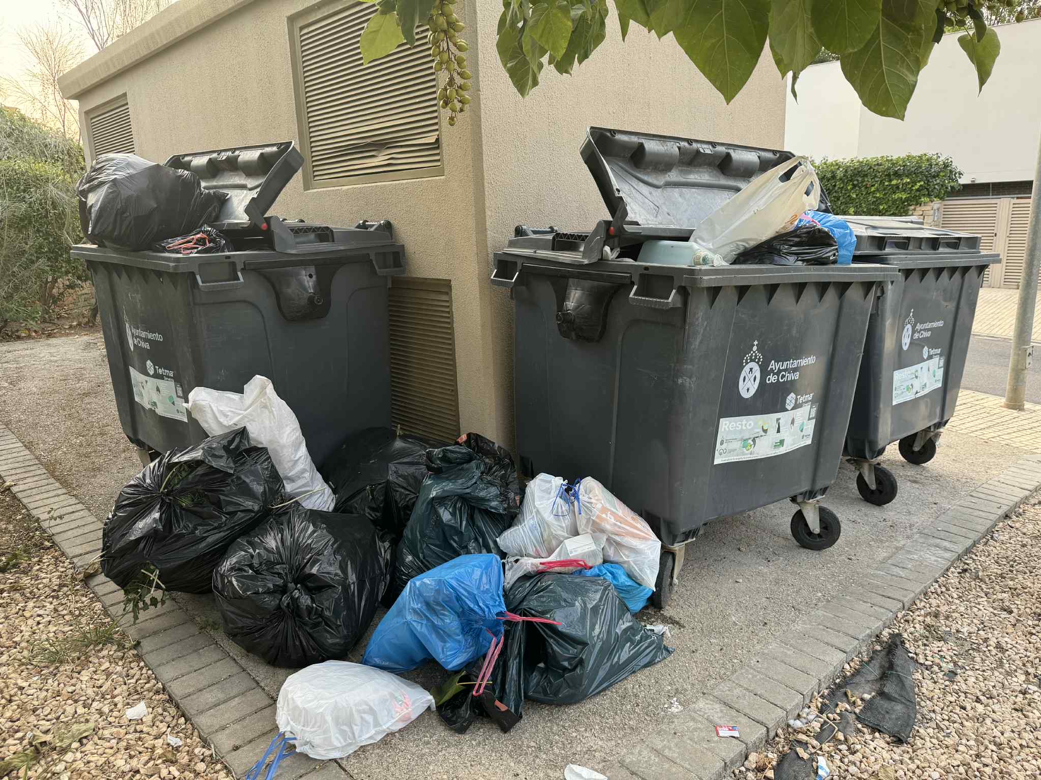 Contenedores con basura fuera y puertas abiertas